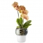 Горшок для орхидеи с функцией самополива Orchid Pot, малый, белый - 1