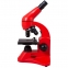 Монокулярный микроскоп Rainbow 50L с набором для опытов, красный - 1