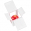 Елочный шар Gala Night в коробке, красный, 6 см - 7