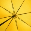 Зонт-трость с цветными спицами Bespoke, желтый - 1
