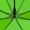 Складной зонт Tomas, зеленое яблоко - 9