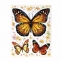 Украшение для окон и стекла ЗОЛОТАЯ СКАЗКА "Бабочки 1", 30х38 см, ПВХ, 591231 - 2