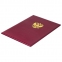 Папка адресная бумвинил с гербом России, 3D-печать, формат А4, бордовая, индивидуальная упаковка, ПД-013 - 6