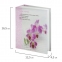 Фотоальбом BRAUBERG на 100 фотографий 10х15 см, твердая обложка, "Орхидеи", бело-розовый, 390663 - 9