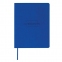 Дневник 1-11 класс 48 л., обложка кожзам (гибкая), термотиснение, BRAUBERG "LATTE", синий, 105441 - 1