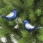 Украшения елочные ЗОЛОТАЯ СКАЗКА "Птичка", НАБОР 2 шт., пластик, 11 см, цвет синий с серебристыми крыльями, 590894 - 4