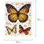 Украшение для окон и стекла ЗОЛОТАЯ СКАЗКА "Бабочки 1", 30х38 см, ПВХ, 591231 - 3