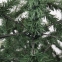 Ель новогодняя искусственная "Christmas Beauty" 210 см, литой ПЭТ+ПВХ, зеленая, ЗОЛОТАЯ СКАЗКА, 591314 - 4