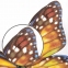 Украшение для окон и стекла ЗОЛОТАЯ СКАЗКА "Бабочки 1", 30х38 см, ПВХ, 591231 - 5