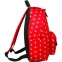 Рюкзак BRAUBERG универсальный, сити-формат, красный, "Яблоки", 23 литра, 43х34х15 см, 226412 - 4