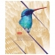 Тетрадь А5, 80 л., HATBER, скоба, клетка, выборочный лак, "Birds" (5 видов), 80Т5вмВ1 - 4