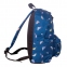 Рюкзак BRAUBERG универсальный, сити-формат, синий, "Птицы", 23 литра, 43х34х15 см, 226401 - 3