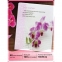 Фотоальбом BRAUBERG на 100 фотографий 10х15 см, твердая обложка, "Орхидеи", бело-розовый, 390663 - 11