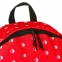 Рюкзак BRAUBERG универсальный, сити-формат, красный, "Яблоки", 23 литра, 43х34х15 см, 226412 - 11