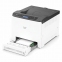 Принтер лазерный ЦВЕТНОЙ RICOH P C301W, А4, 25 стр/мин, ДУПЛЕКС, WiFi, NFC, сетевая карта, 408335 - 8