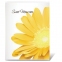Фотоальбом BRAUBERG на 36 фото 10х15 см, мягкая обложка, "Цветы", белый с рисунком ассорти, 390654 - 7