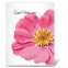Фотоальбом BRAUBERG на 36 фото 10х15 см, мягкая обложка, "Цветы", белый с рисунком ассорти, 390654 - 8