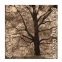 Альбом для эскизов 210х210 мм, 40 л., 70 г/м2, крафт-бумага, на скобе, "Дерево", ЭД - 1