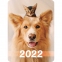 Календарь карманный на 2022 год, 70х100 мм, "Четыре лапы и хвост", HATBER, Кк7 - 3