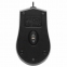 Мышь проводная DEFENDER HIT MB-530, USB, 2 кнопки + 1 колесо-кнопка, оптическая, черная, 52530 - 5