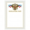 Грамота "Похвальный лист", А4, мелованный картон, конгрев, тиснение фольгой, BRAUBERG, 128342 - 1