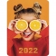 Календарь карманный на 2022 год, 70х100 мм, "Яркая жизнь", HATBER, Кк7 - 3