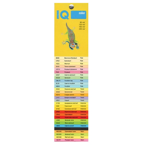 Бумага цветная IQ color, А4, 160 г/м2, 250 л., интенсив, черная, В100, B100 - 3