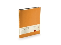 Ежедневник недатированный B5 «Tintoretto New», оранжевый, искусственная кожа