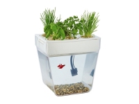 Набор для выращивания растений и ухода за рыбкой «Акваферма», прозрачный, белый, пластик, поликарбонат