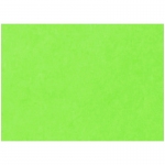 Картон цветной тонированный А3, Лилия Холдинг, 200г/м2, 50л., зелёный