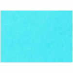 Картон цветной тонированный А3, Лилия Холдинг, 200г/м2, 50л., синий
