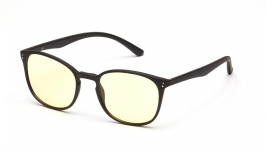 Очки для компьютера SP Glasses AF055, черный