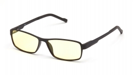 Очки для компьютера SP Glasses AF056, черный