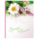 Папка на резинке Berlingo "Spring Flowers" А4, 550мкм