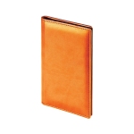 Визитница Sidney Nebraska, оранжевый, 72 визитки