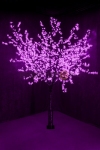 Светодиодное Дерево "Сакура", высота 2,4м, диаметр кроны 2,0м, фиолетовые диоды, IP 64, понижающий трансформатор в комплекте,