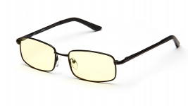 Очки для компьютера SP Glasses AF024, черный