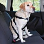 Трикси 1290 Автомобильный ремень безопастности для собак