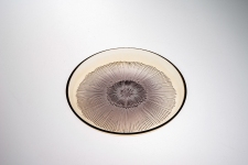 Тарелка d 21 см h 2 см, стекло, цвет соломенный / кофейный, Ixxir CDF 1434-2101019