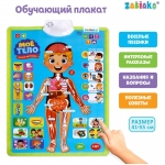 Говорящий плакат ZABIAKA "Изучаем анатомию. Мое тело", пакет, 5148294
