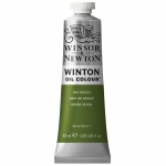 Краска масляная художественная Winsor&Newton "Winton", 37мл, туба, зеленая крушина, 1414599