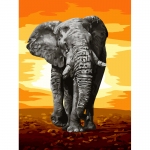 Картина по номерам на холсте ТРИ СОВЫ "Слон", 30*40, с акриловыми красками и кистями, КХ_44085