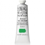 Краска масляная профессиональная Winsor&Newton "Artists Oil", 37мл, перманентный светло-зеленый, 1214483
