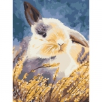 Картина по номерам на холсте ТРИ СОВЫ "Кролик", 30*40, с акриловыми красками и кистями, КХ_44099
