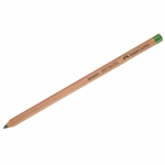 Пастельный карандаш Faber-Castell "Pitt Pastel", цвет 267 хвойный, 112167