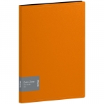 Папка с зажимом Berlingo "Color Zone", 17мм, 1000мкм, оранжевая, ACp_01116