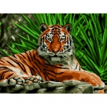 Картина по номерам на картоне ТРИ СОВЫ "Тигр", 30*40, с акриловыми красками и кистями, КК_44027