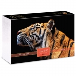 Пазл  500 эл. Hatber Premium "Legend Art Series. Взгляд тигра", подарочная коробка + Постер, 500ПЗ2_25127