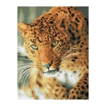 Алмазная мозаика ТРИ СОВЫ "Леопард", 40*50см, холст на деревянном подрамнике, картонная коробка с пластиковой ручкой, АМП4050_47616