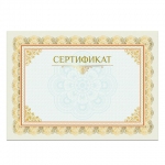 Сертификат А4, горизонтальный бланк №2, мелованный картон, конгрев, тиснение фольгой, BRAUBERG, 128375